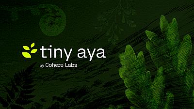 Скриншот Tiny Aya