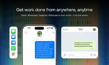 Скриншот Goose