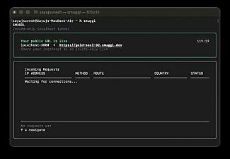Скриншот Smuggl