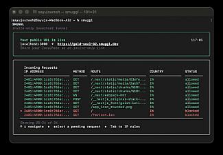 Скриншот Smuggl