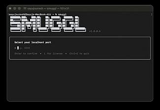 Скриншот Smuggl