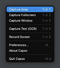 Скриншот Capso