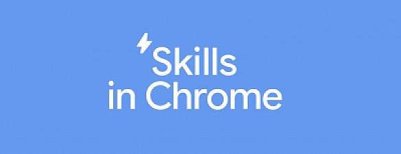 Скриншот Google Chrome Skills