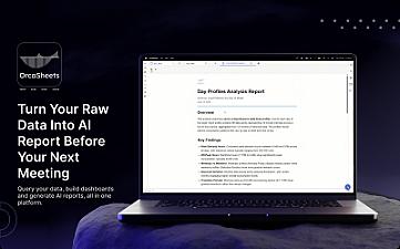 Скриншот OrcaSheets AI Reports