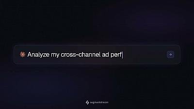 Скриншот SegmentStream