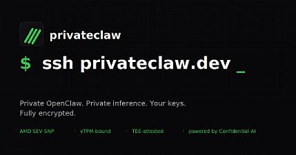 Скриншот PrivateClaw