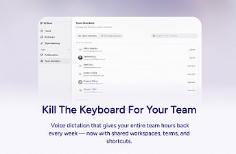 Скриншот Willow Voice for Teams