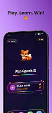 Скриншот Flip Spark
