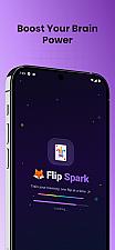 Скриншот Flip Spark