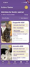 Скриншот Feline Finder - When Adopting