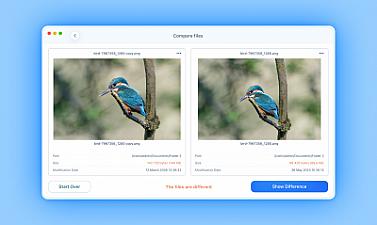 Скриншот Duplicate File Finder