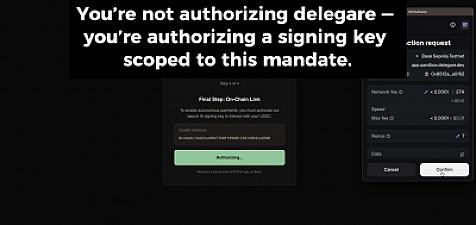 Скриншот delegare