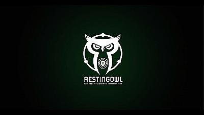 Скриншот RestingOwl