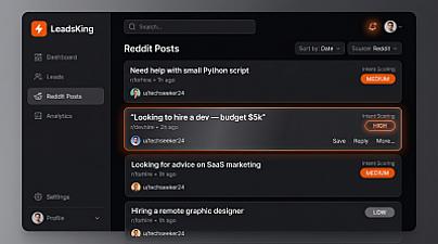 Скриншот LeadsKing