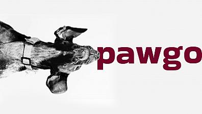 Скриншот Pawgo