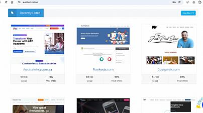 Скриншот Website Audit Tool