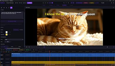 Скриншот MadSync - Music Video Editor