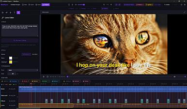 Скриншот MadSync - Music Video Editor
