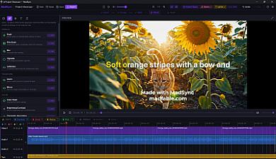 Скриншот MadSync - Music Video Editor