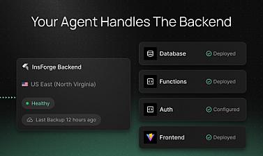 Скриншот InsForge