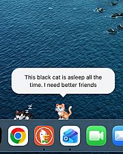 Скриншот MicroJoyz Desktop Pet