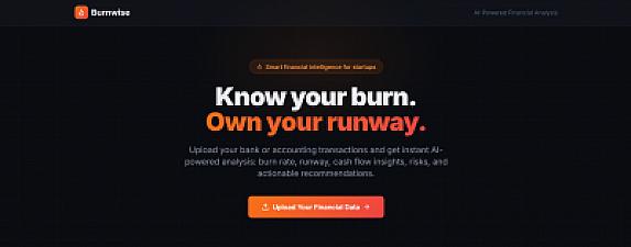 Скриншот Burn Wise