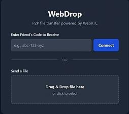 Скриншот WebDrop