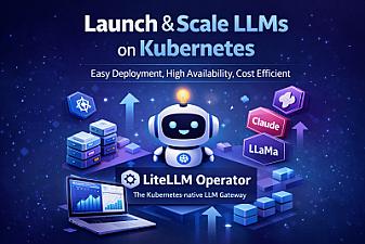 Скриншот LiteLLM Operator