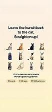Скриншот Posture Cat - Posture Reminder