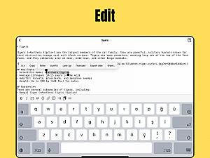 Скриншот MD2PDF