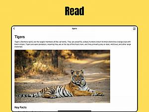 Скриншот MD2PDF