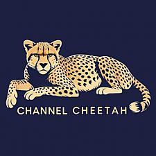 Скриншот Channel Cheetah