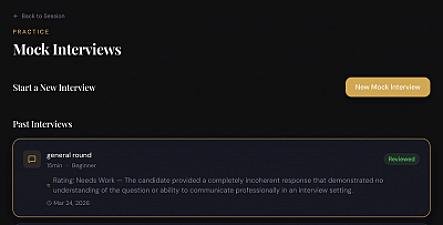 Скриншот InterviewAce