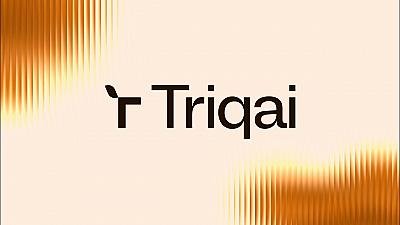 Скриншот Triqai