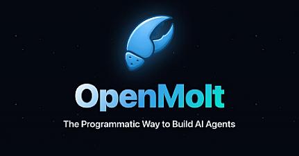 Скриншот OpenMolt