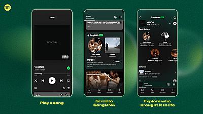 Скриншот Spotify SongDNA