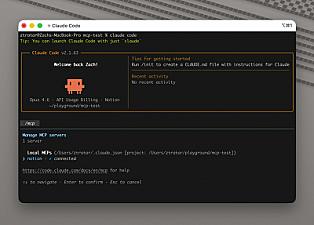 Скриншот Notion MCP