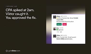 Скриншот Viktor for Media Buyers