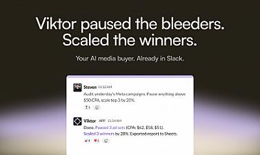 Скриншот Viktor for Media Buyers